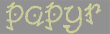 papyr (1K)